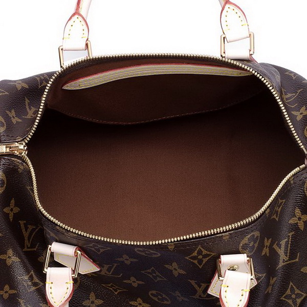 Louis Vuitton Monogram Canvas Speedy 25 M41528